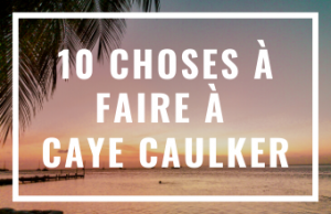 Read more about the article 10 choses à faire à Caye Caulker, au Belize